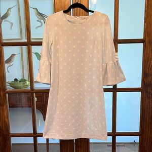 Tyler Böe Light Blue Polka Dot Dress